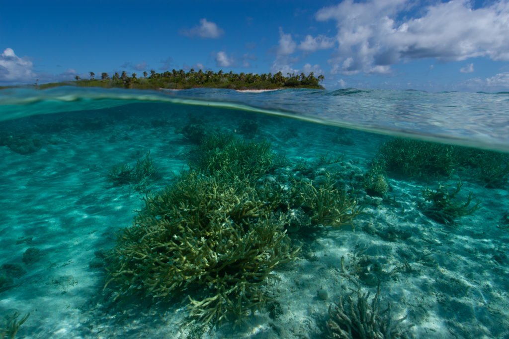 multi-image composition surface of turquoise sea