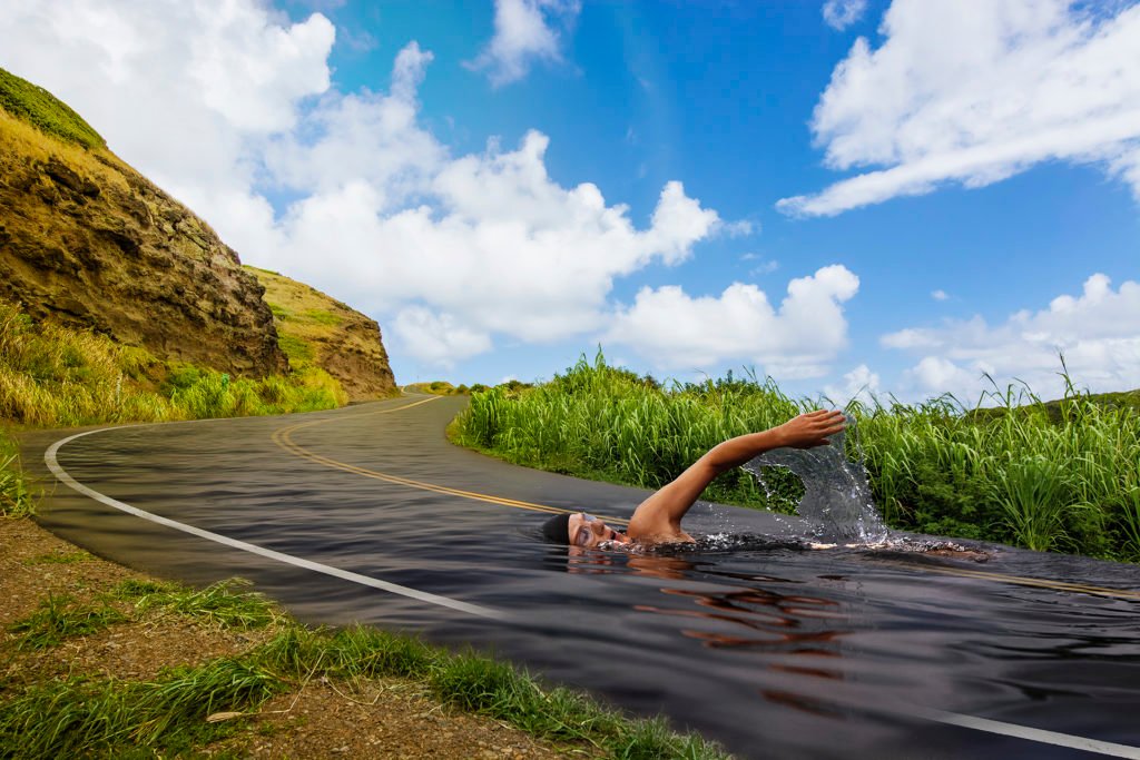 swimming across a road up a hill