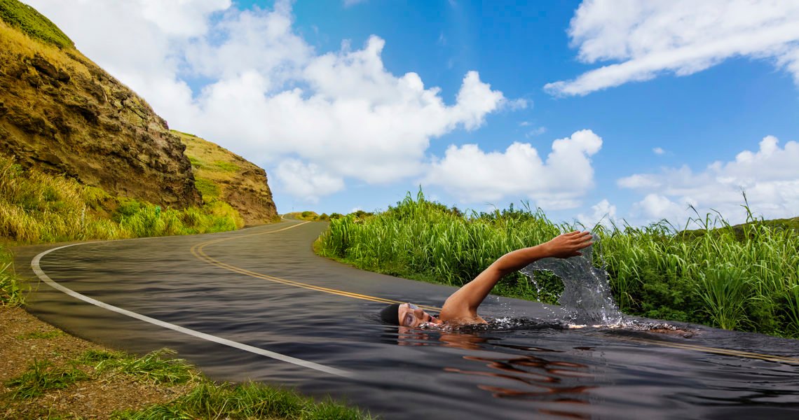 swimming across a road up a hill